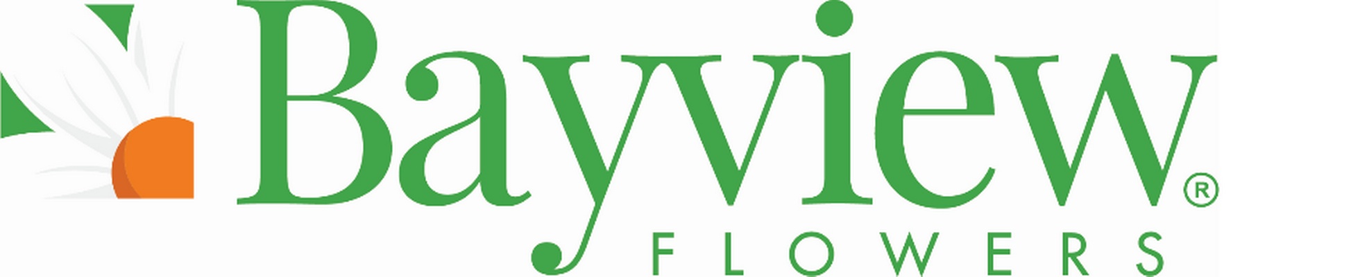 Company banner showing Visual Corporation branding