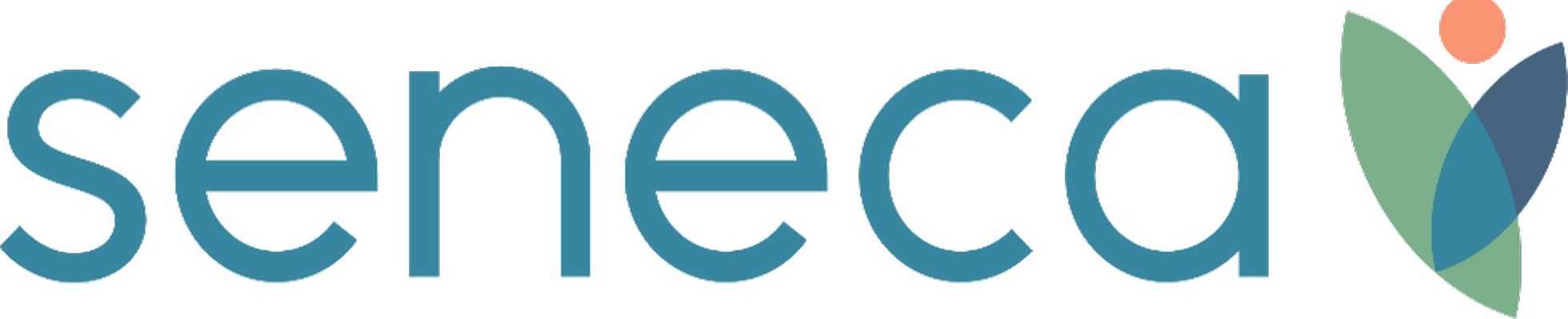 Company banner showing Visual Corporation branding