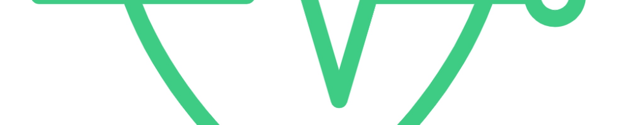 Company banner showing Visual Corporation branding