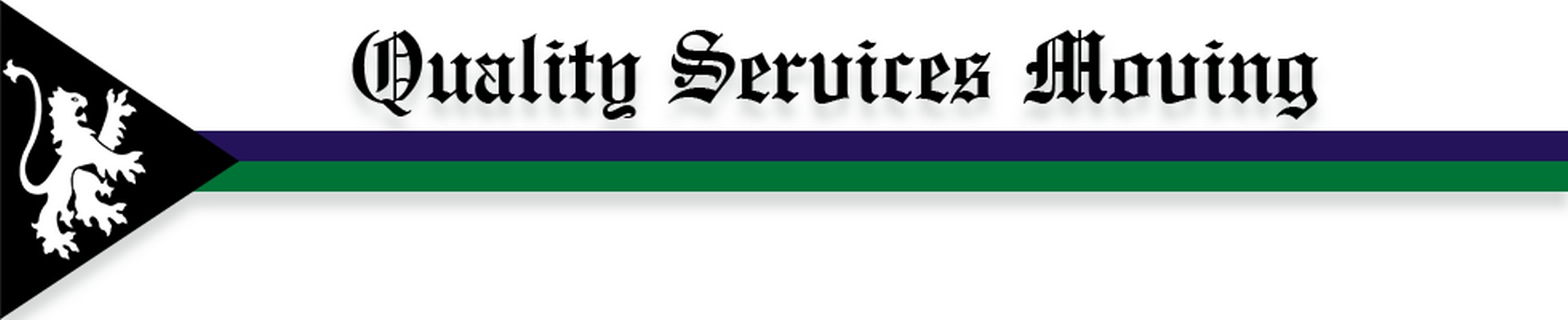 Company banner showing Visual Corporation branding