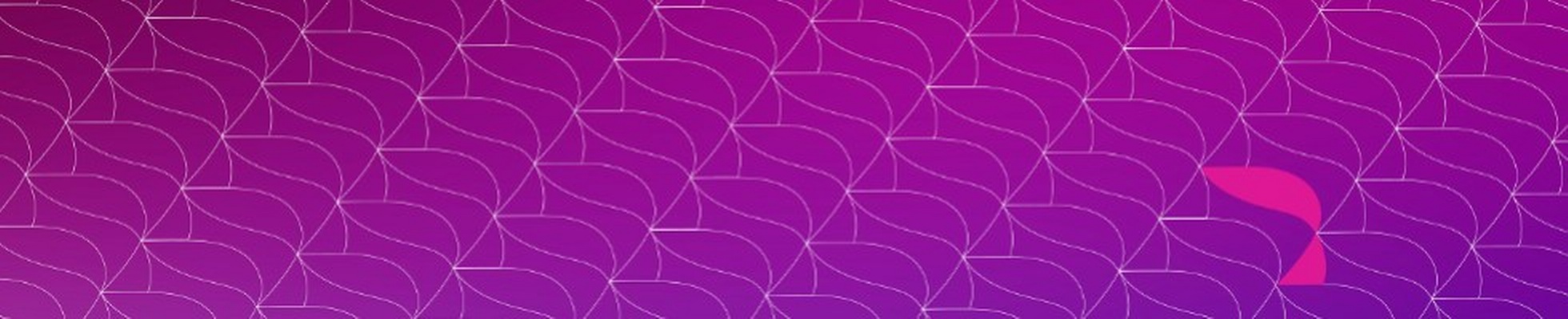 Company banner showing Visual Corporation branding