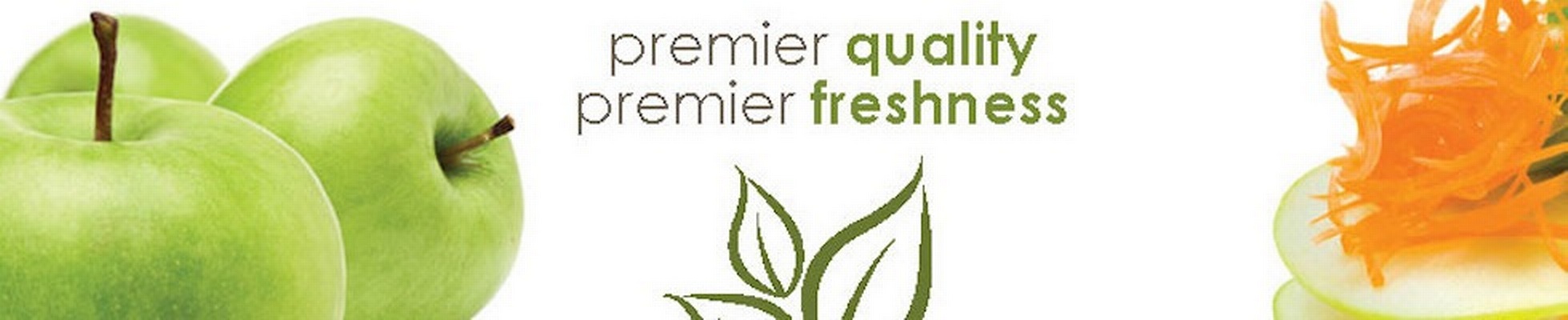 Company banner showing Visual Corporation branding