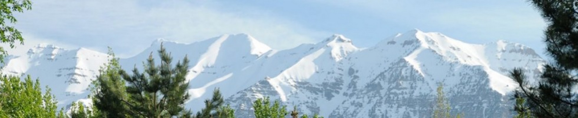 Company banner showing Visual Corporation branding