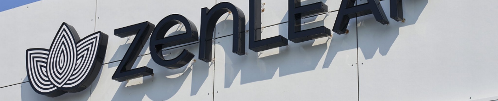 Company banner showing Visual Corporation branding
