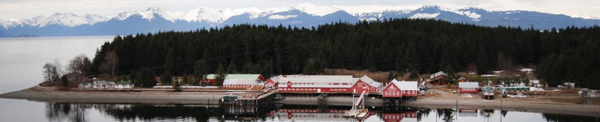 Company banner showing Visual Corporation branding