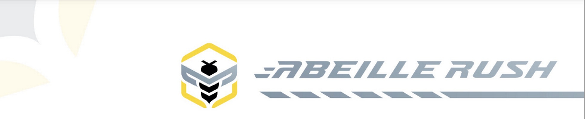 Company banner showing Visual Corporation branding