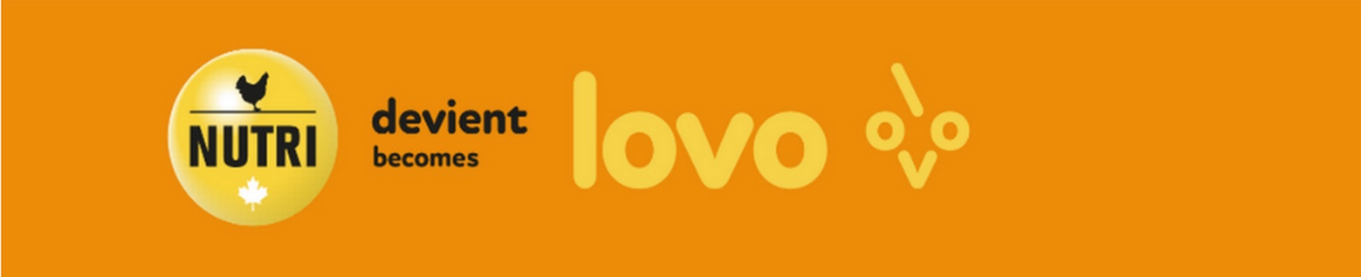 Company banner showing Visual Corporation branding