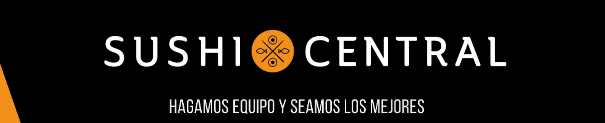 Company banner showing Visual Corporation branding