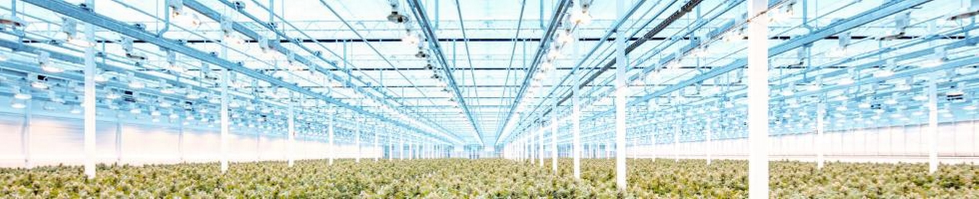 Company banner showing Visual Corporation branding