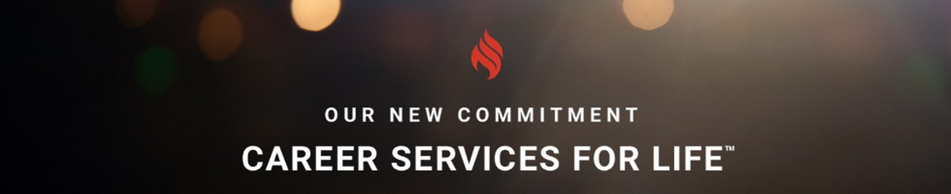 Company banner showing Visual Corporation branding