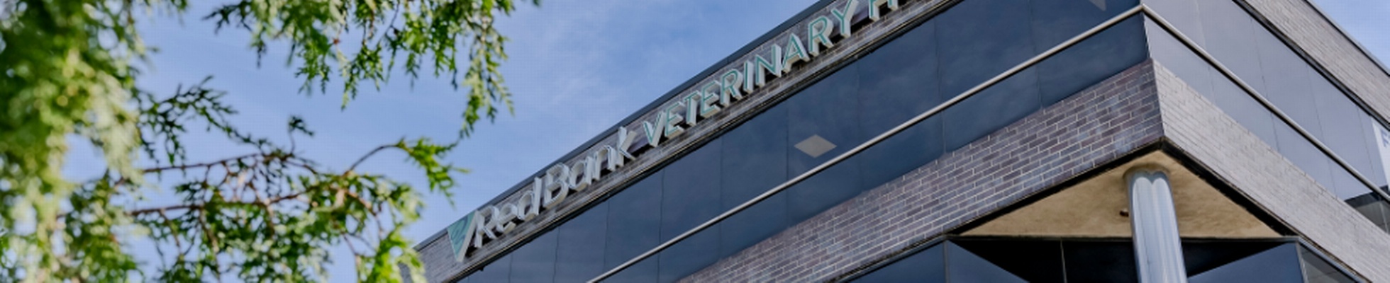 Company banner showing Visual Corporation branding