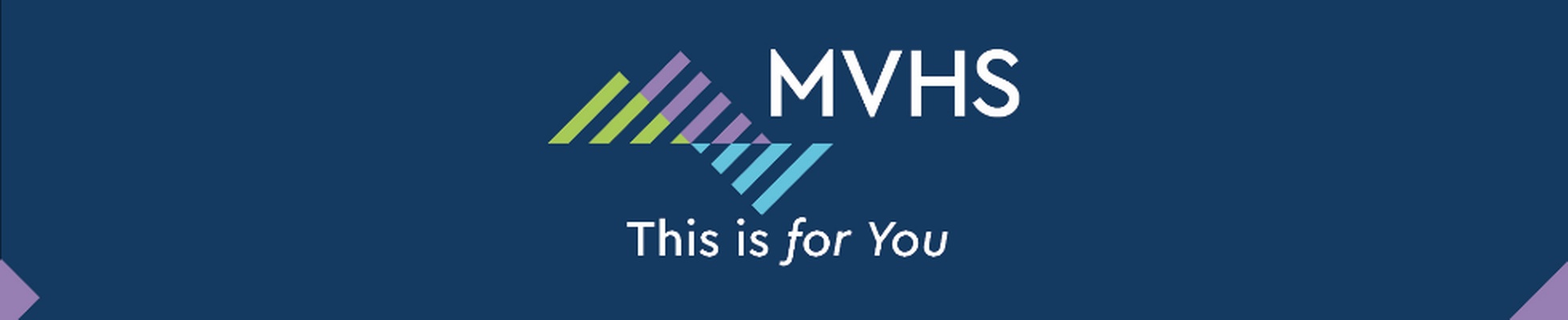 Company banner showing Visual Corporation branding
