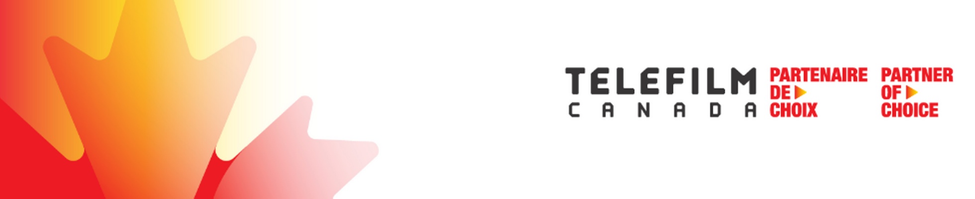 Company banner showing Visual Corporation branding