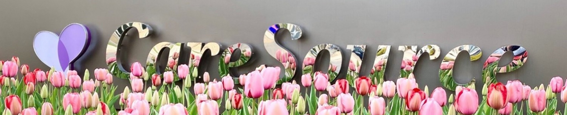 Company banner showing Visual Corporation branding