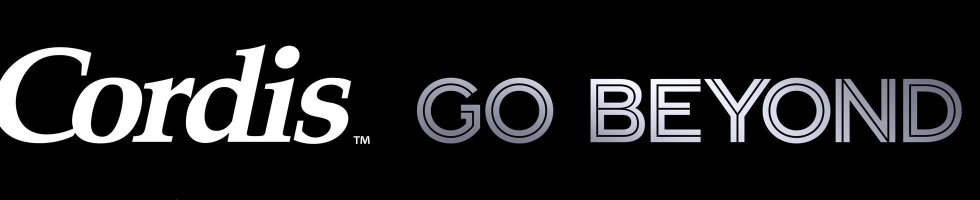 Company banner showing Visual Corporation branding
