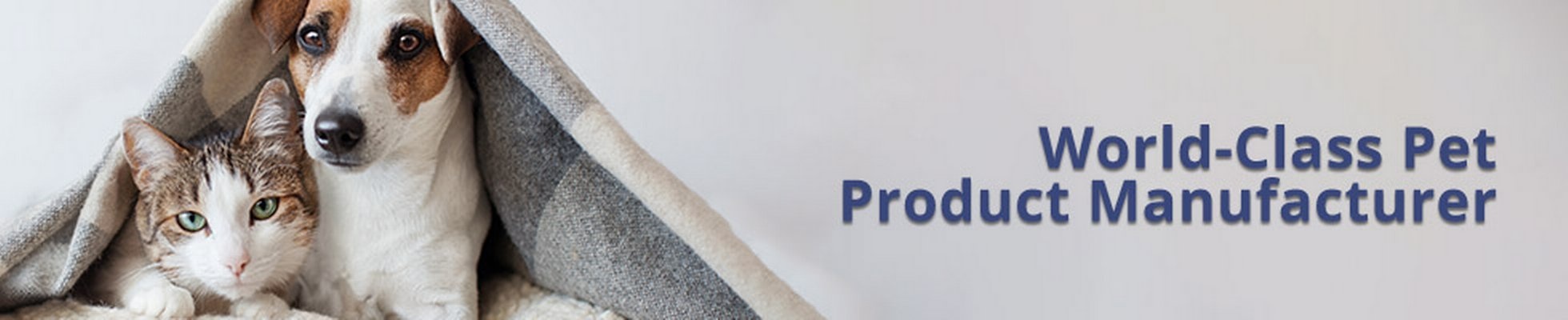 Company banner showing Visual Corporation branding