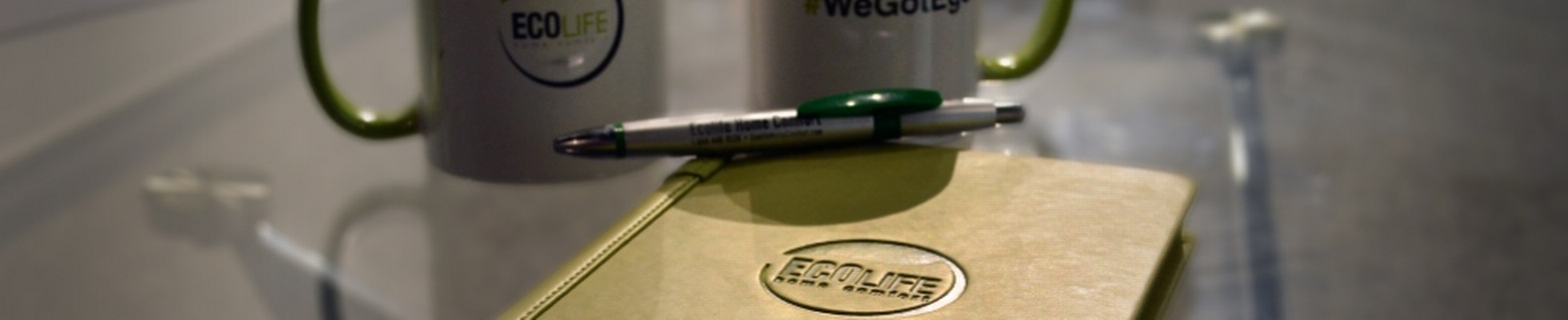 Company banner showing Visual Corporation branding