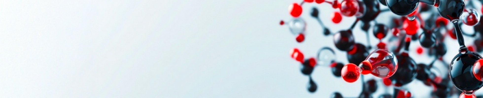 Company banner showing Visual Corporation branding