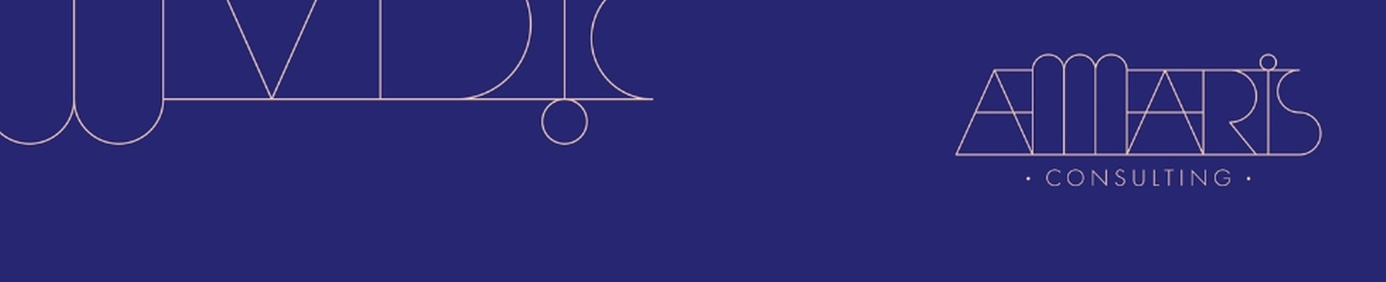 Company banner showing Visual Corporation branding