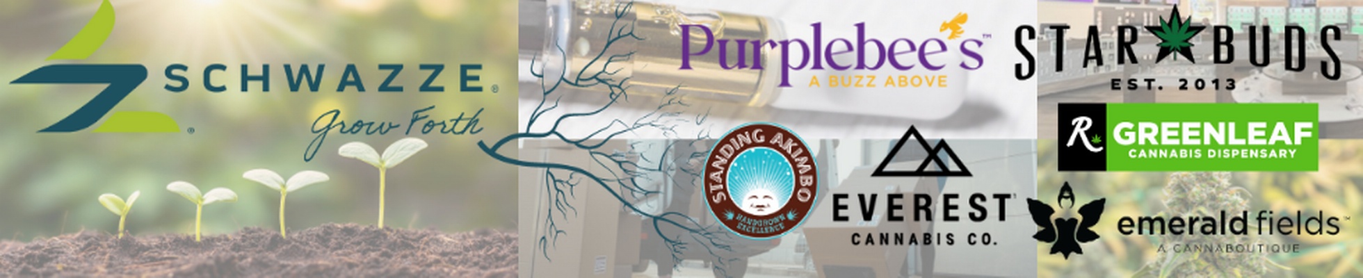 Company banner showing Visual Corporation branding