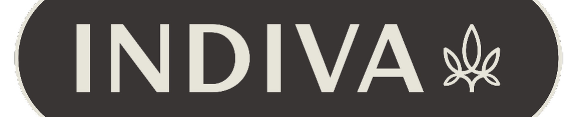 Company banner showing Visual Corporation branding