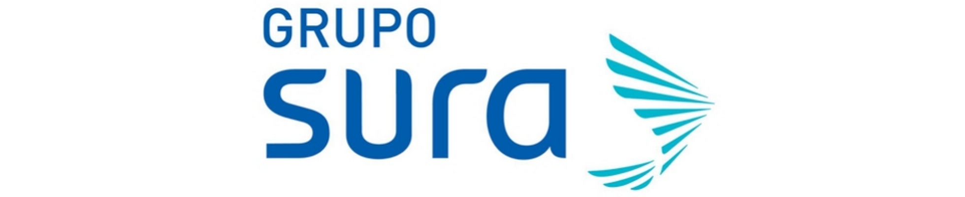 Company banner showing Visual Corporation branding