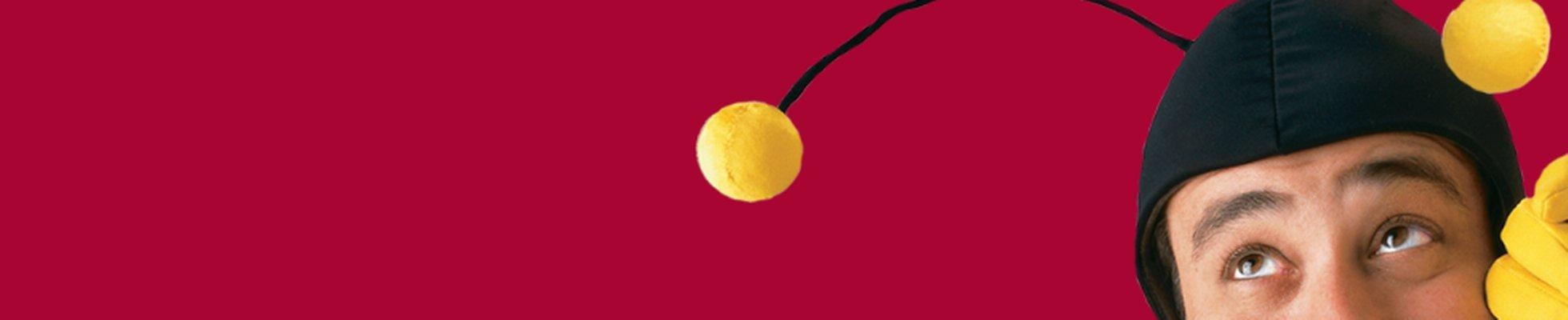 Company banner showing Visual Corporation branding