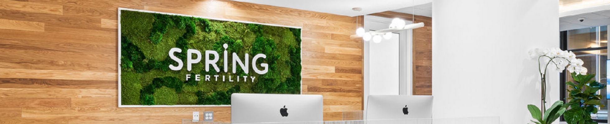 Company banner showing Visual Corporation branding