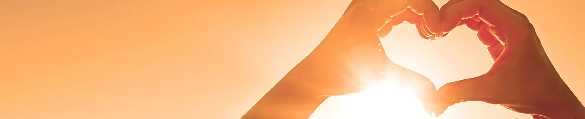 Company banner showing Visual Corporation branding