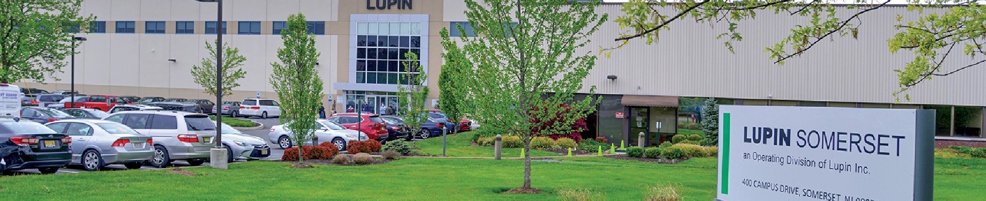 Company banner showing Visual Corporation branding