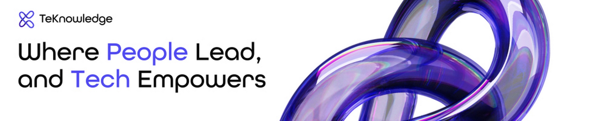 Company banner showing Visual Corporation branding
