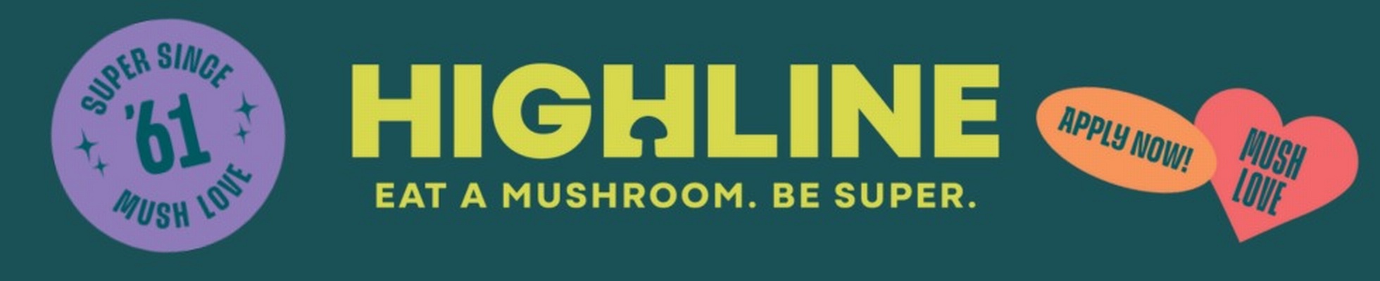 Company banner showing Visual Corporation branding