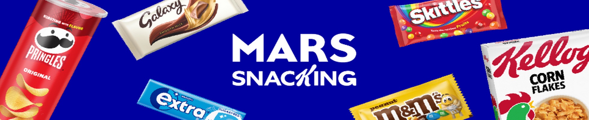 Company banner showing Visual Corporation branding