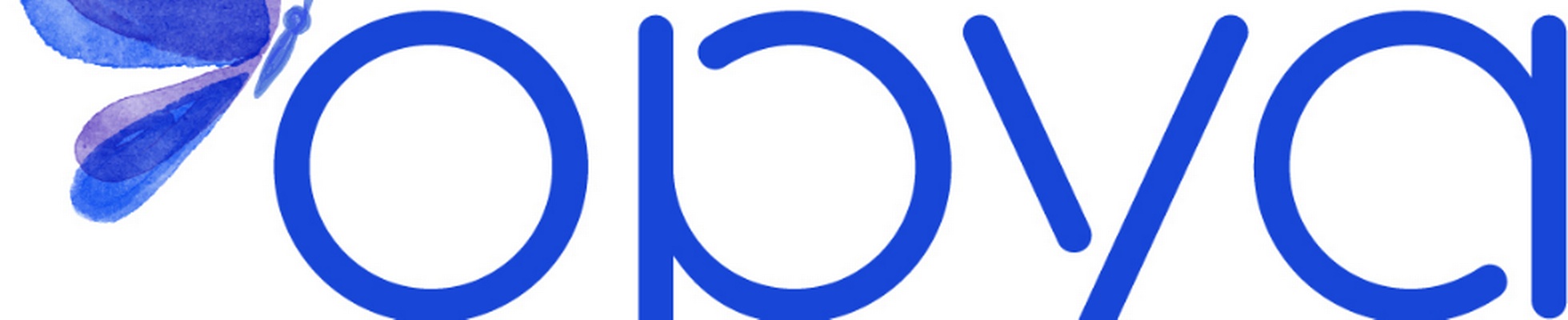 Company banner showing Visual Corporation branding