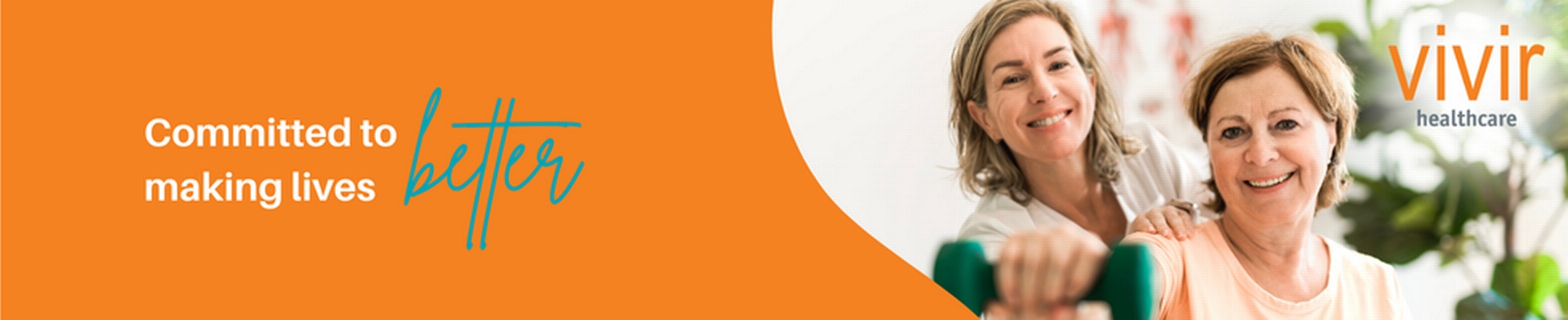 Company banner showing Visual Corporation branding