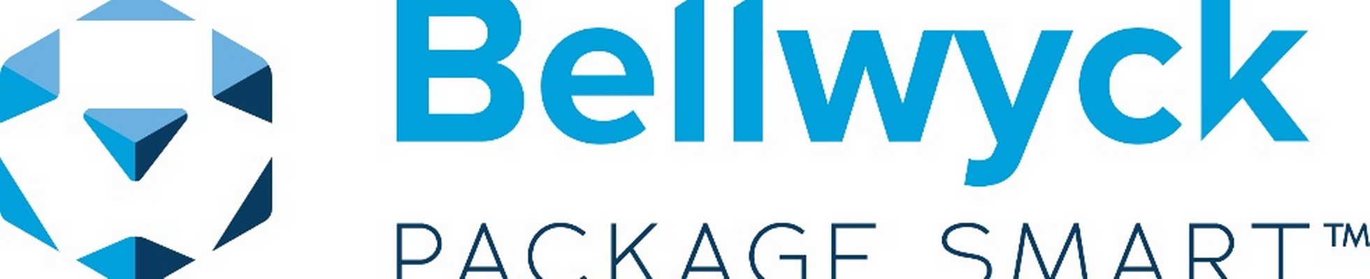 Company banner showing Visual Corporation branding