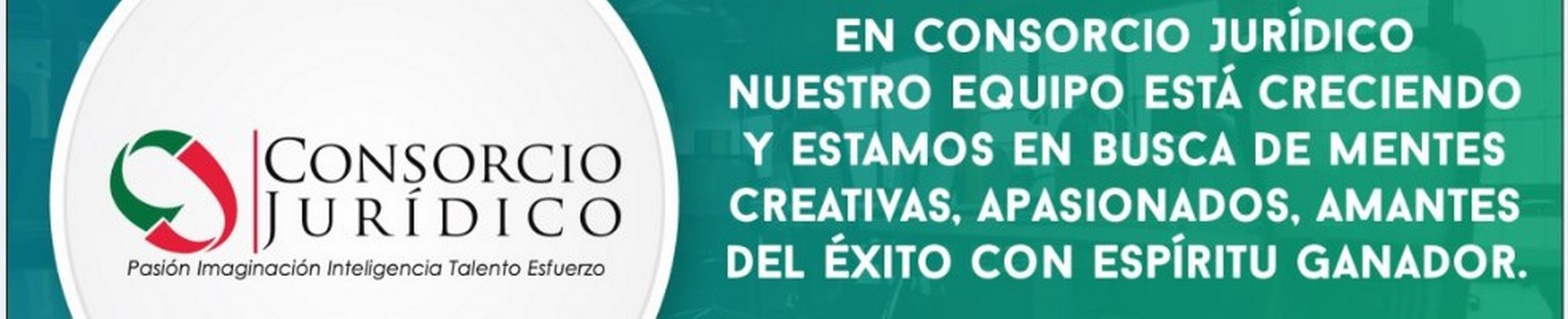 Company banner showing Visual Corporation branding