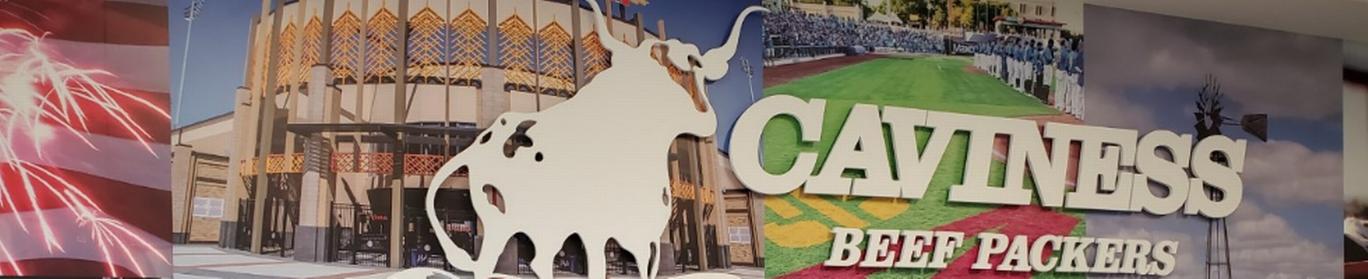 Company banner showing Visual Corporation branding