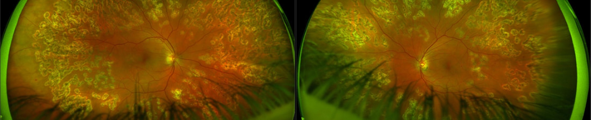 Company banner showing Visual Corporation branding