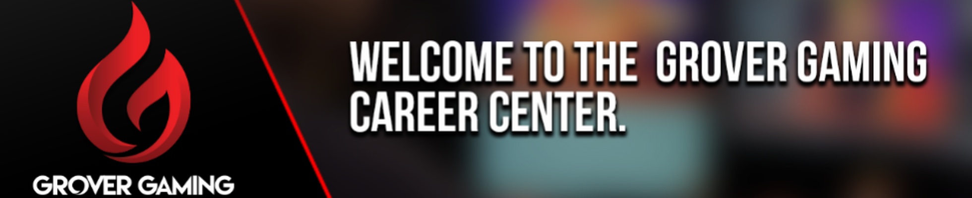 Company banner showing Visual Corporation branding
