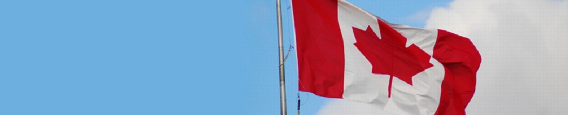 Company banner showing Visual Corporation branding