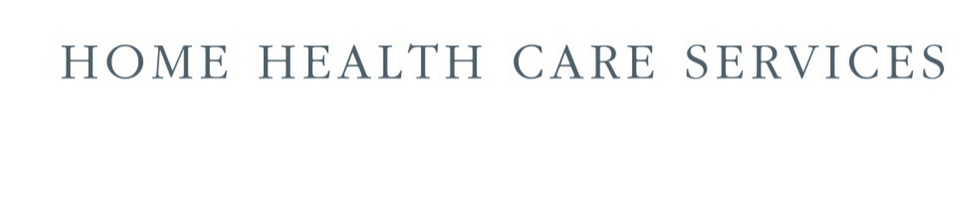 Company banner showing Visual Corporation branding