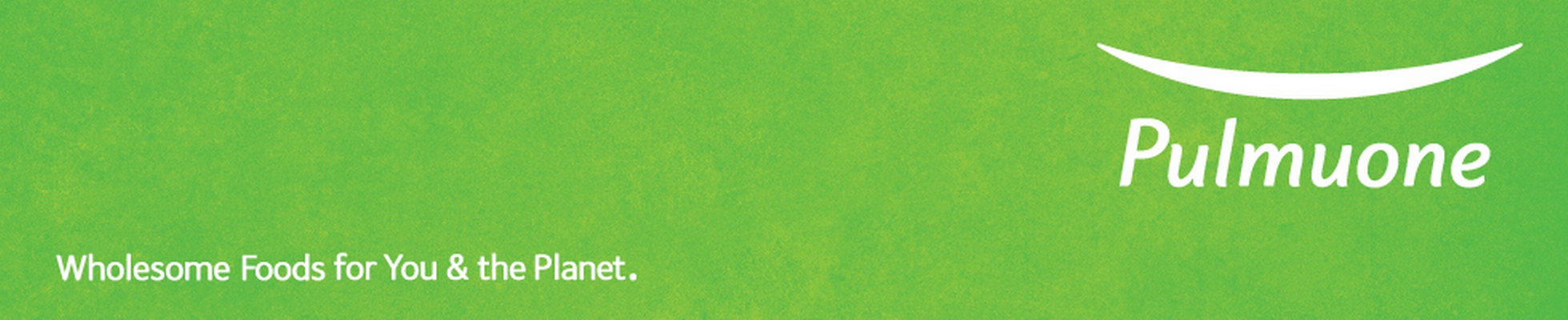 Company banner showing Visual Corporation branding
