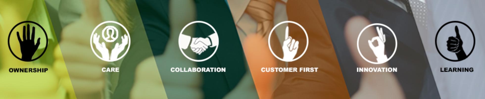Company banner showing Visual Corporation branding