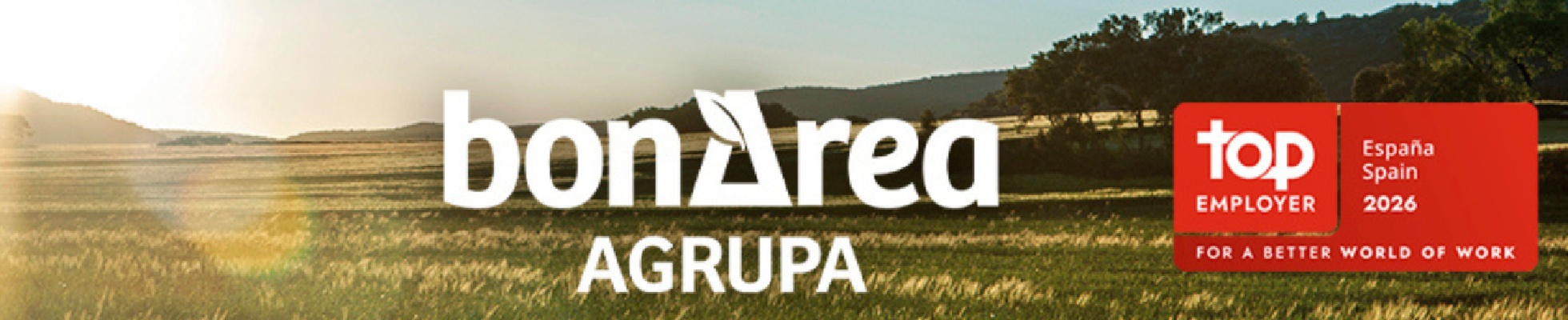 Company banner showing Visual Corporation branding
