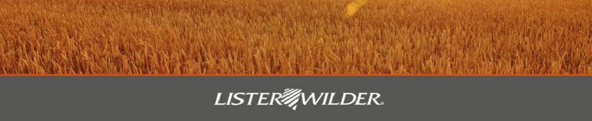 Company banner showing Visual Corporation branding