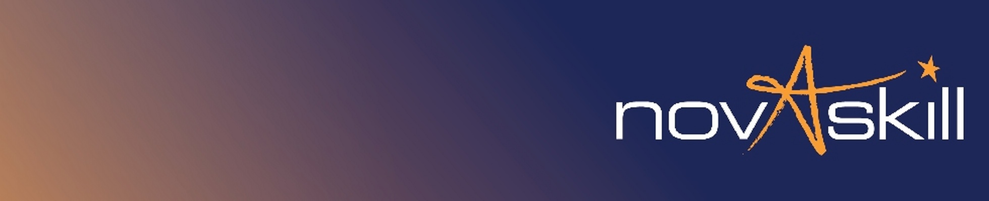 Company banner showing Visual Corporation branding