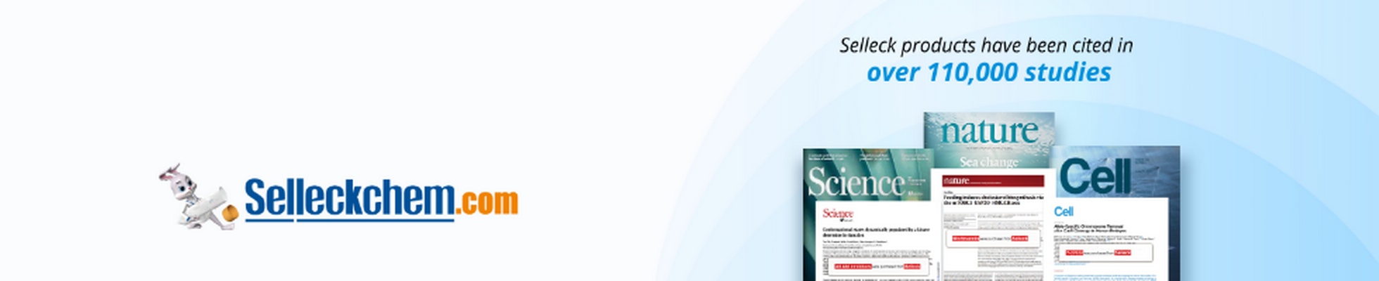 Company banner showing Visual Corporation branding