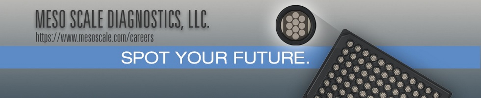 Company banner showing Visual Corporation branding