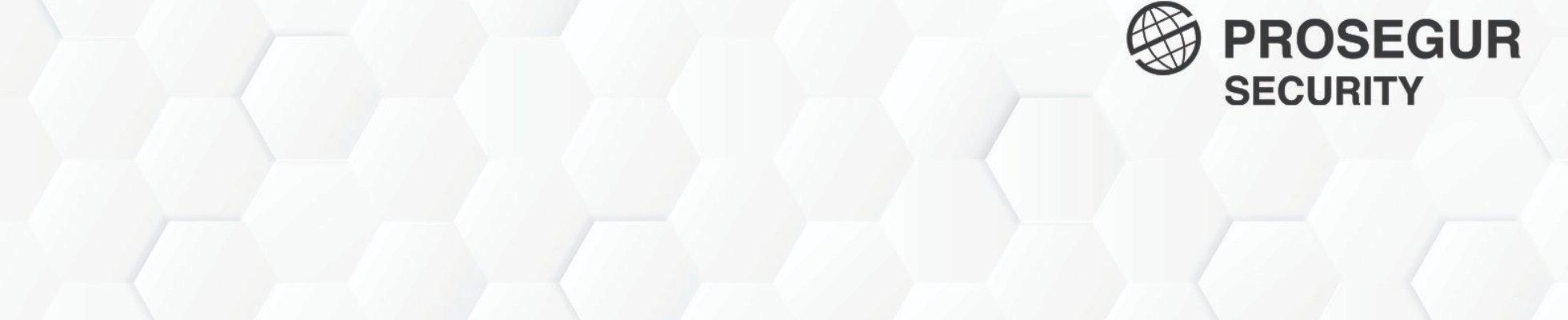 Company banner showing Visual Corporation branding